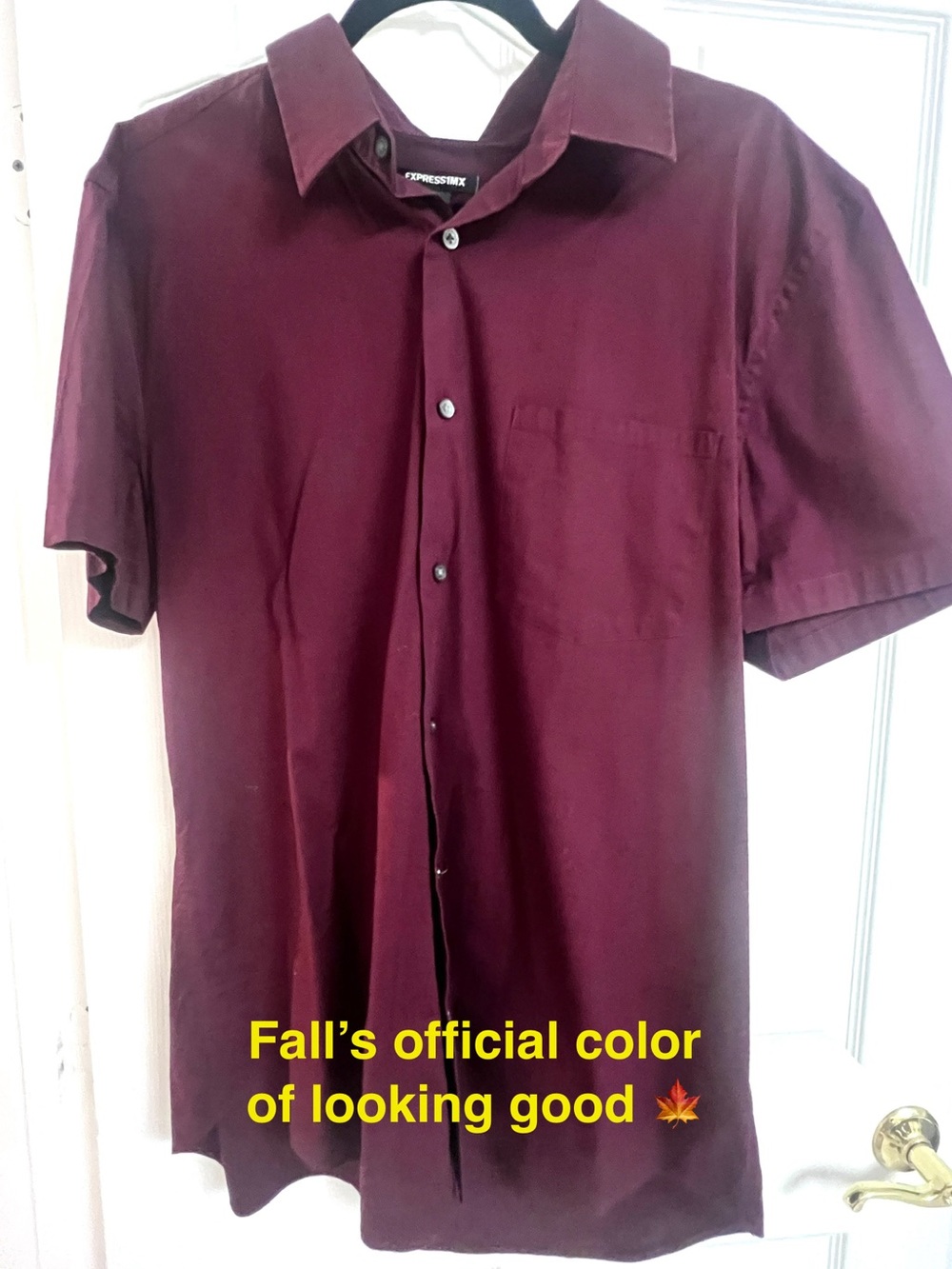 Express Men's Short Sleeve Button-Down Shirt - Burgundy